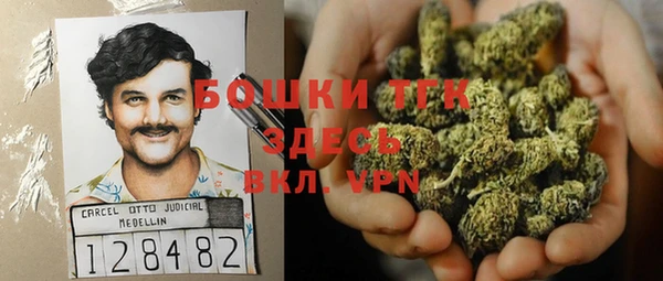 твердый Михайлов