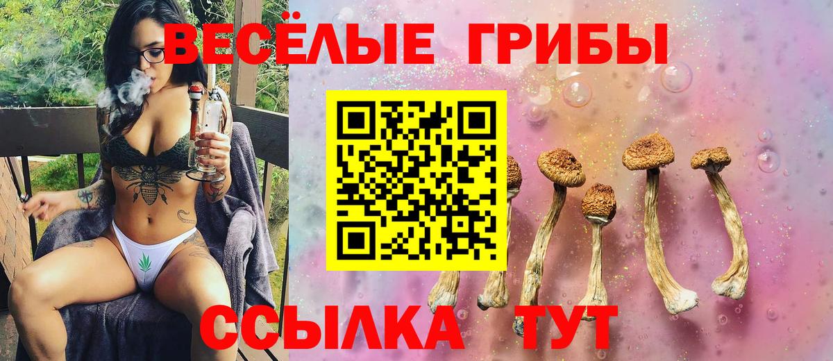 Псилоцибиновые грибы Psilocybine cubensis  Вход с VPN  Старый Оскол 